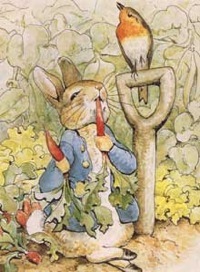 ピーターラビット ピーターラビット